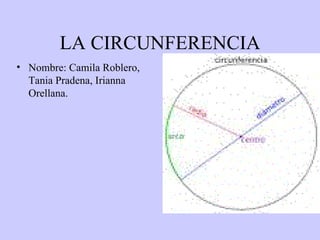 LA CIRCUNFERENCIA ,[object Object]