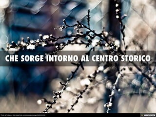 Photo by Fabiana - http://www.flickr.com/photos/geomangio/5492520256/

 