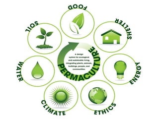 “Permanent agricolture”
 