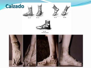 Calzado
 