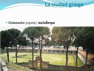La ciudad griega
 Gimnasio: γυμνόσ/ παλαῖςτρα
 