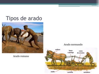 Tipos de arado



                 Arado normando



  Arado romano
 