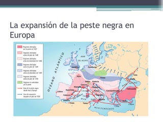 La expansión de la peste negra en
Europa
 