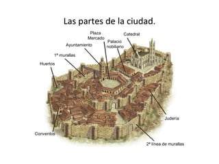 Las partes de la ciudad. Catedral Palacio  nobiliario Plaza  Mercado Ayuntamiento 1ª murallas Huertos Conventos 2ª línea de murallas Judería 
