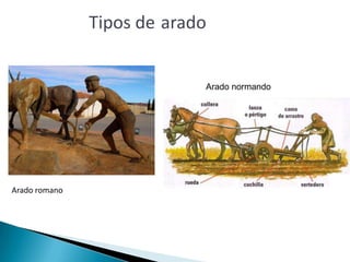 Arado romano
Arado normando
Tipos de arado
 