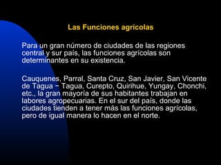 Las Funciones agrícolas

Para un gran número de ciudades de las regiones
central y sur país, las funciones agrícolas son
determinantes en su existencia.

Cauquenes, Parral, Santa Cruz, San Javier, San Vicente
de Tagua − Tagua, Curepto, Quirihue, Yungay, Chonchi,
etc., la gran mayoría de sus habitantes trabajan en
labores agropecuarias. En el sur del país, donde las
ciudades tienden a tener más las funciones agrícolas,
pero de igual manera lo hacen en el norte.
 