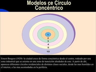 Modelos ce Circulo
                             Concéntrico




Ernest Burgess (1929) la ciudad crece de forma concéntrica desde el centro, rodeado por una
zona industrial que se asienta en una zona de transición alrededor de este. A partir de ahí,
aparecen diferentes círculos residenciales de distintas clases sociales, desde las mas humildes en
el interior, a las mas acomodadas en la periferia.
 