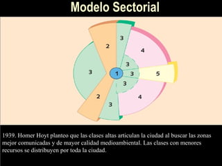 Modelo Sectorial




1939. Homer Hoyt planteo que las clases altas articulan la ciudad al buscar las zonas
mejor comunicadas y de mayor calidad medioambiental. Las clases con menores
recursos se distribuyen por toda la ciudad.
 
