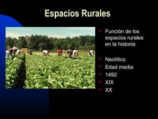 Espacios Rurales
                Función de los
                 espacios rurales
                 en la historia:

                Neolítico
                Edad media
                1492
                XIX
                XX
 