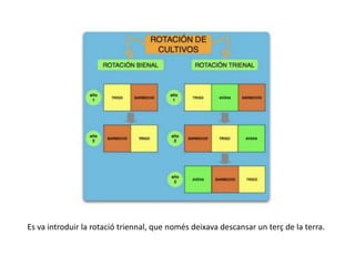 Es va introduir la rotació triennal, que només deixava descansar un terç de la terra.
 