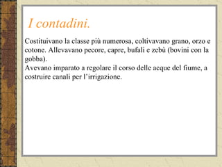 I contadini. Costituivano la classe più numerosa, coltivavano grano, orzo e cotone. Allevavano pecore, capre, bufali e zebù (bovini con la gobba).  Avevano imparato a regolare il corso delle acque del fiume, a costruire canali per l’irrigazione. 