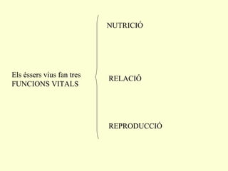 Els éssers vius fan tres FUNCIONS VITALS NUTRICIÓ RELACIÓ REPRODUCCIÓ 