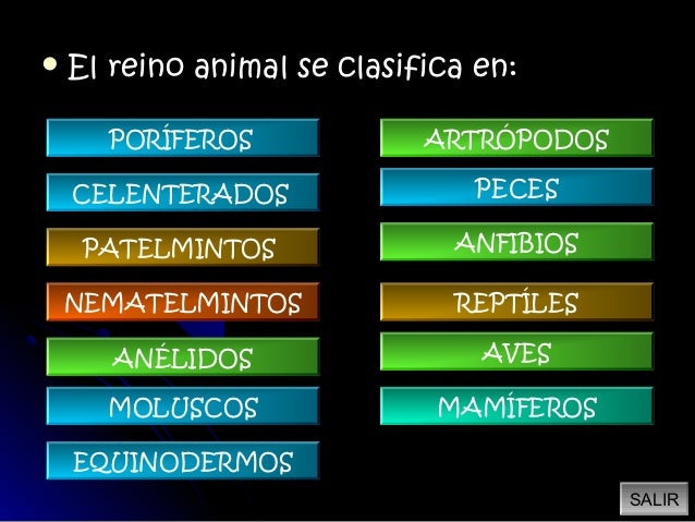 La clasificación del reino animal