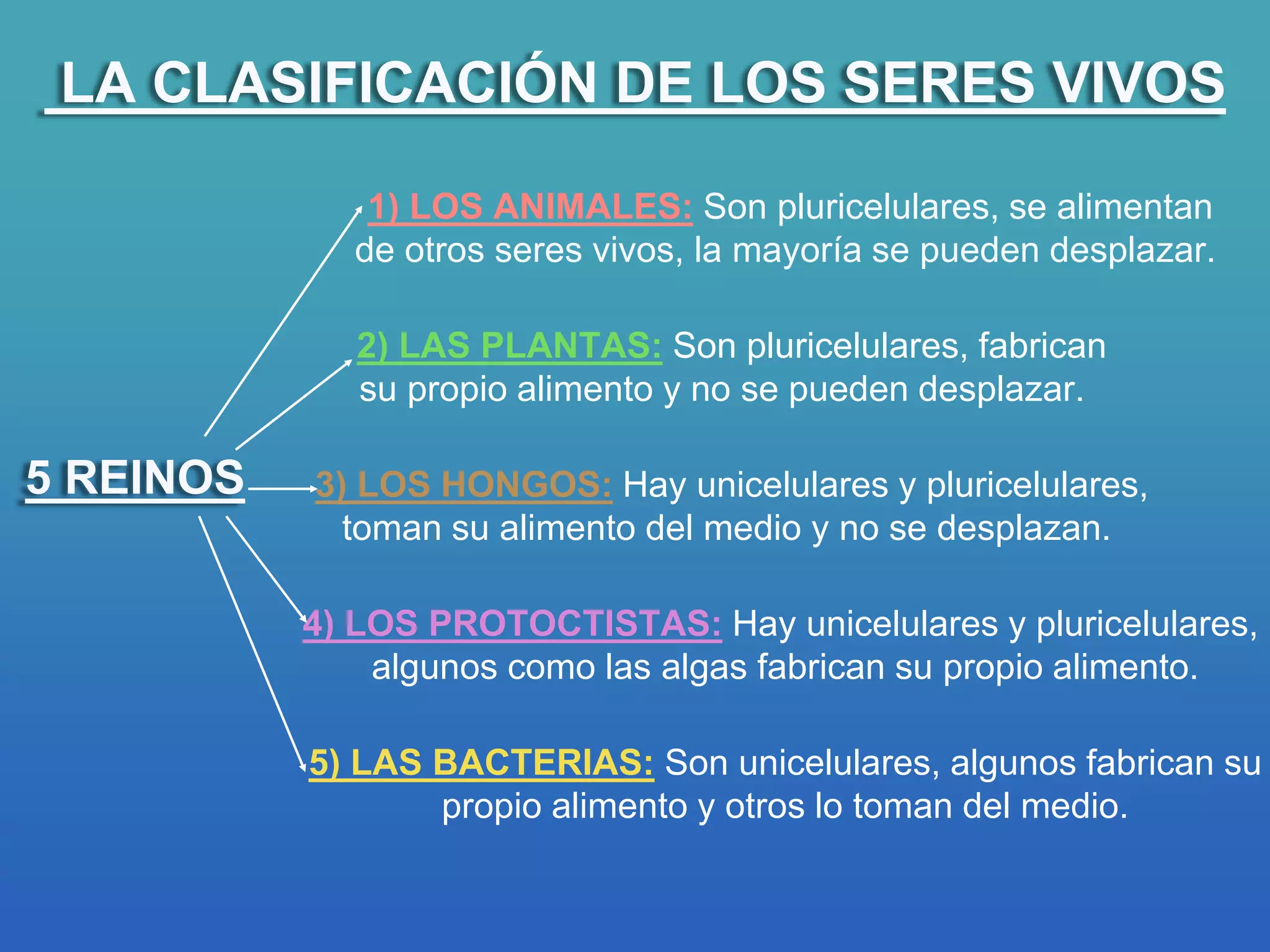 La clasificación de los animales | PPTX