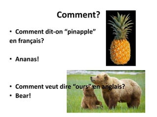 Comment?
• Comment dit-on “pinapple”
en français?
• Ananas!

• Comment veut dire “ours” en anglais?
• Bear!

 