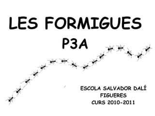 ESCOLA SALVADOR DALÍ FIGUERES CURS 2010-2011 LES FORMIGUES P3A 