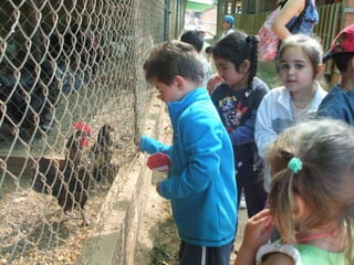 La classe de les granotes