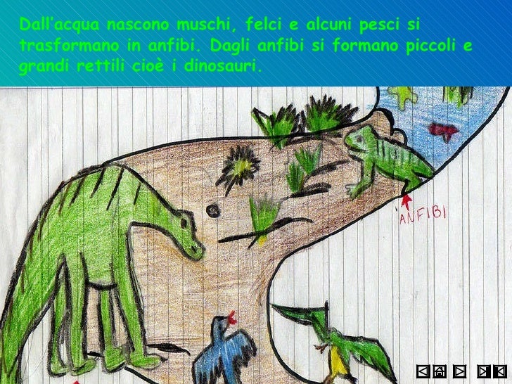 Perchè Si Dice La Classe Non è Acqua