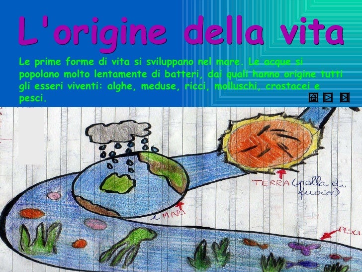 La Classe Non è Acqua In Inglese