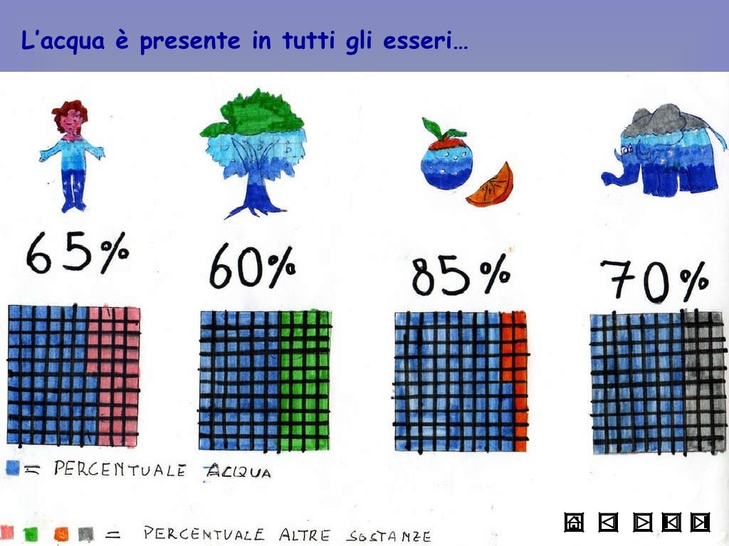 La Classe Non è Acqua In Inglese