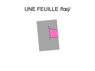 UNE FEUILLE /fœj/

 