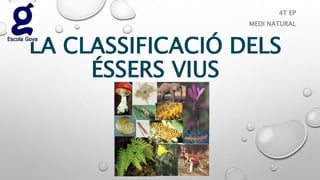 LA CLASSIFICACIÓ DELS
ÉSSERS VIUS
4T EP
MEDI NATURAL
 