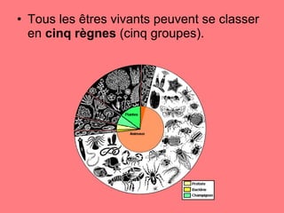 Tous les êtres vivants peuvent se classer en  cinq règnes  (cinq groupes).  