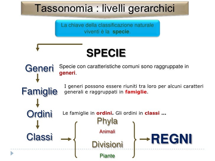 La Classificazione Dei Viventi