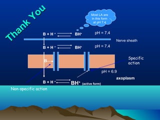 B + H +
BH+
(active form)
B + H +
BH+
B + H +
BH+
axoplasm
B
Specific
action
Non-specific action
pH = 7.4
pH = 6.9
pH = 7.4
Most LA are
in this form
at pH 7.4
Nerve sheathThank
You
Thank
You
 