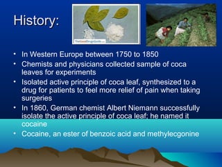 History:History:
• In Western Europe between 1750 to 1850
• Chemists and physicians collected sample of coca
leaves for experiments
• Isolated active principle of coca leaf, synthesized to a
drug for patients to feel more relief of pain when taking
surgeries
• In 1860, German chemist Albert Niemann successfully
isolate the active principle of coca leaf; he named it
cocaine
• Cocaine, an ester of benzoic acid and methylecgonine
 