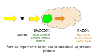 EMOCIÓN
Sentidos

Tronco Cerebral
Cerebro Antiguo
(Reptil)

RAZÓN
Neocorteza
Cerebro Nuevo
(Mamíferos)

Pero es importante notar que lo emocional se procesa
primero

 
