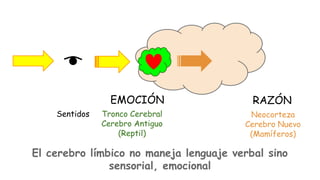 EMOCIÓN
Sentidos

Tronco Cerebral
Cerebro Antiguo
(Reptil)

RAZÓN
Neocorteza
Cerebro Nuevo
(Mamíferos)

El cerebro límbico no maneja lenguaje verbal sino
sensorial, emocional

 