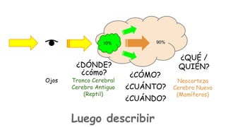 90%

10%

¿DÓNDE?
¿cómo?
Ojos

Tronco Cerebral
Cerebro Antiguo
(Reptil)

¿QUÉ /
QUIÉN?
¿CÓMO?
¿CUÁNTO?
¿CUÁNDO?

Luego describir

Neocorteza
Cerebro Nuevo
(Mamíferos)

 