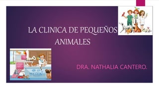 LA CLINICA DE PEQUEÑOS
ANIMALES
DRA. NATHALIA CANTERO.
 