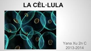 LA CÈL·LULA

Yana Xu 2n C
2013-2014

 