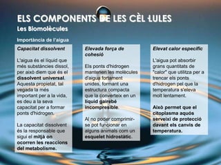 ELS COMPONENTS DE LES CÈL·LULES<br />Les Biomolècules<br />Importància de l’aigua<br />Capacitat dissolvent<br />L'aigua é...