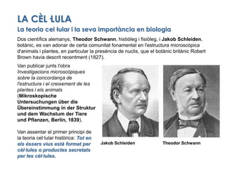 Jakob Schleiden<br />Theodor Schwann<br />LA CÈL·LULA<br />La teoria cel·lular i la seva importància en biologia<br />Dos ...