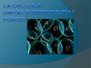 La cèl·lula:unitat d’estructura i funció 