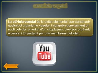 La cèl·lula vegetal és la unitat elemental que constitueix
qualsevol organisme vegetal, i comprèn generalment un
nucli cel·lular envoltat d'un citoplasma, diversos orgànuls
o plasts, i tot protegit per una membrana cel·lular.
 