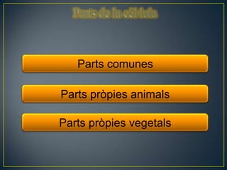 Parts comunes

Parts pròpies animals

Parts pròpies vegetals
 