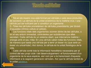1.- Tot en els éssers vius està format per cèl·lules o pels seus productes
de secreció. La cèl·lula és la unitat anatòmica de la matèria viva, i una
cèl·lula pot ser suficient per a constituir un organisme.
2.- Totes les cèl·lules procedeixen de cèl·lules preexistents, per divisió
d'aquestes (Omnis cellula et cellula).
3.- Les funcions vitals dels organismes ocorren dintre de les cèl·lules, o
en el seu entorn immediat, controlades per substàncies que elles
secreten. Cada cèl·lula és un sistema obert, que intercanvia matèria i
energia amb el seu mitjà. En una cèl·lula caben totes les funcions vitals,
de manera que basta una cèl·lula per a tenir un ésser viu (que serà un
ésser viu unicel·lular). Així doncs, la cèl·lula és la unitat fisiològica de la
vida.
4.- Cada cèl·lula conté tota la informació hereditària necessària per al
control del seu propi cicle i del desenvolupament i el funcionament d'un
organisme de la seva espècie, així com per a la transmissió d'aquesta
informació a la següent generació cel·lulars. Així que la cèl·lula també és
la unitat genètica.
 