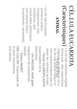 CÈL.LULA EUCARIOTA
                               • La cèl·lula eucariota vegetal
(Característiques)               forma part dels organismes
         ANIMAL                  vegetals, es similar en tot a
                                         VEGETAL
                                 la cèl·lula animal menys en
                                 tres característiques que no
                                 tenen les cèl·lules animals:
• La cèl·lula eucariota
                                    - Tenen CLOROPLASTS:
  animal és pròpia
                               responsables de la
  d’organismes més
                               fotosíntesi.
  complexes, tant
                                   - Un VACUOL molt gran:
  unicel·lulars (protozous),
                               magatzem de substàncies
  com pluricel·lulars
                               (aigua).
  (invertebrats i vertebrats).
                                   - Tenen PARET
                               CEL·LULAR: responsable de
                               la seva consistència
                               (cel·lulosa).
 