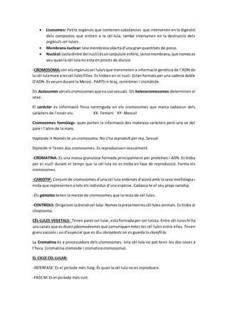  Lisosomes: Petits orgànuls que contenen substàncies que intervenen en la digestió
dels compostos que entren a la cèl·lula, també intervenen en la destrucció dels
orgànuls cel·lulars .
 Membrana nuclear: Una membrana oberta d’una gran quantitats de porus.
 Nuclèol:(voladintre del nucli)ésuncorpuscle esfèric,sensemembrana,que nomeses
veu quan la cèl·lula no esta en procés de divisió.
-CROMOSOMA:són elsorgànulscel·lularsque transmeten a informació genètica de l’ADN de
la cèl·lulamare alescèl·lules filles. Es troben en el nucli. Estan formats per una cadena doble
D’ADN. Es veuen durant la Meiosi. PARTS→ braç, centròmer i cromàtide.
Els Autosomes sónelscromosomesque nosonsexuals. Els heterocromosomes determinen el
sexe.
El caràcter és Informació física continguda en els cromosomes que marca cadascun dels
caràcters de l’esser viu. XX- Femení XY- Masculí
Cromosomes homòlegs: quan porten la informació des mateixos caràcters però una ve del
pare i l’altre de la mare.
Haploide→ Només te un cromosoma. No s’ha reproduït per rep. Sexual.
Diploide→ Tenen dos cromosomes. Es reprodueixen sexualment.
-CROMATINA: Es una massa granulosa formada principalment per proteïnes i ADN. Es troba
per el nucli durant el temps que la cèl·lula no es troba en fase de reproducció. Forma els
cromosomes.
-CARIOTIP: Conjunt de cromosomes d’una cèl·lula ordenats d’acord amb la seva morfologia i
mida que representen a tots els individus d’una espècie. Cadascú te el seu propi cariotip.
-Els gàmetes tenen la meitat de cromosomes que la resta de cèl·lules.
-CENTRÍOLS: Dirigeixenladivisiócel·lular.Nomeslapresentenlescèl·lules animals. Es troba al
citoplasma.
CÈL·LULES VEGETALS: Tenen paret cel·lular, està formada per cel·lulosa. Entre cèl·lules hi ha
unscanals que esdiuen plasmodesmes que comuniquen totes les cèl·lules entre elles. Tenen
grans vacúols i un d’especial que es diu cloroplasts on es guarda la clorofil·la.
La Cromatina és a processadora dels cromosomes. Una cèl·lula no pot tenir les dos coses a
l’hora. (cromatina cromoide i cromatina cromosoma).
EL CICLE CEL·LULAR:
-INTERFASE: Es el període més llarg. És quan la cèl·lula no es reprodueix.
-FASE M: Es el període més curt.
 