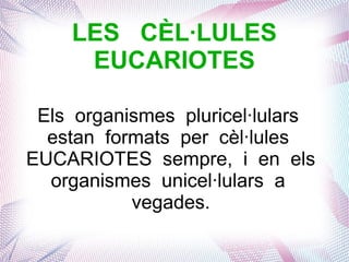 Els organismes pluricel·lulars
estan formats per cèl·lules
EUCARIOTES sempre, i en els
organismes unicel·lulars a
vegades.
LES CÈL·LULES
EUCARIOTES
 