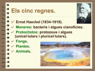 Els cinc regnes. Ernst Haeckel (1834-1919). Moneres : bacteris i algues cianofícies. Protoctistos : protozous i algues (unicel·lulars i pluricel·lulars). Fongs . Plantes . Animals . 