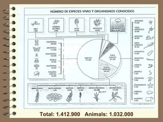 Total: 1.412.900  Animals: 1.032.000 