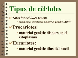 Tipus de cèl·lules Totes les cèl·lules tenen: membrana, citoplasma i material genètic (ADN) Procariotes: material genètic dispers en el citoplasma Eucariotes: material genètic dins del nucli 