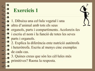 Exercicis 1 1. Dibuixa una cel·lula vegetal i una  altra d’animal amb tots els seus  organols, parts i compartiments. Acoloreix-les i escriu el nom i la funció de totes les seves  parts i organols.  2. Explica la diferència ente nutrició autòtrofa i heteròtrofa. Escriu al menys cinc exemples de cada cas. 3. Quines creus que són les cèl·lules més  primitives? Raona la resposta. 