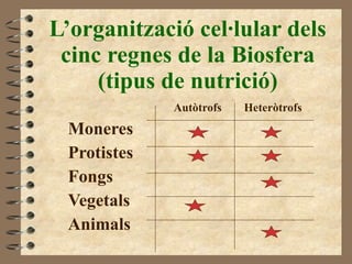 L’organització cel·lular dels cinc regnes de la Biosfera (tipus de nutrició) Autòtrofs Heteròtrofs Moneres Protistes Fongs Vegetals Animals 