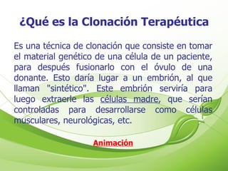 ¿Qué es la Clonación Terapéutica Es una técnica de clonación que consiste en tomar el material genético de una célula de un paciente, para después fusionarlo con el óvulo de una donante. Esto daría lugar a un embrión, al que llaman "sintético". Este embrión serviría para luego extraerle las  células madre , que serían controladas para desarrollarse como células musculares, neurológicas, etc. Animación 